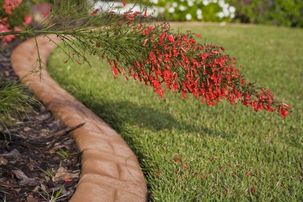 Brick Edging in Reading